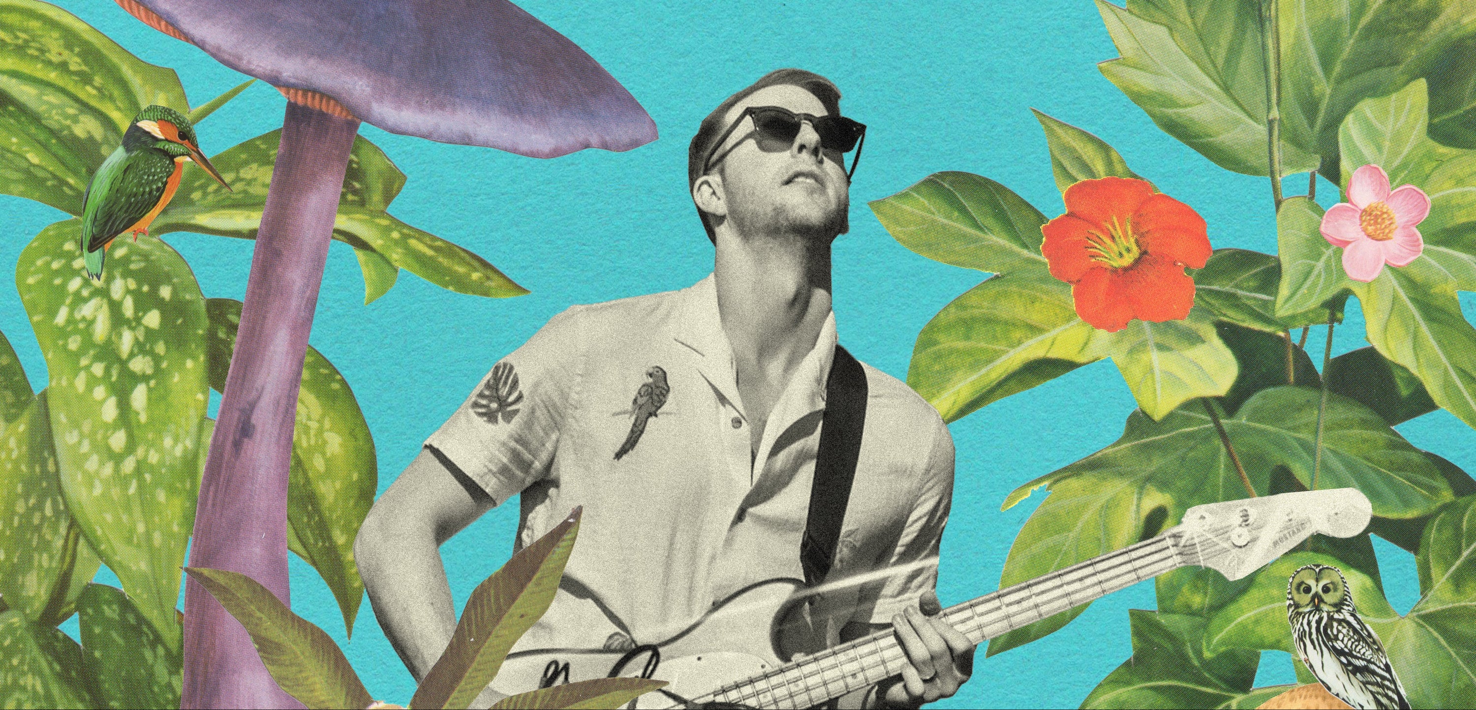 Person playing guitar with a colorful mushroom and floral background